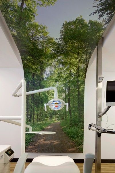 inspiring dental wall art "rainforest"  | the river tree